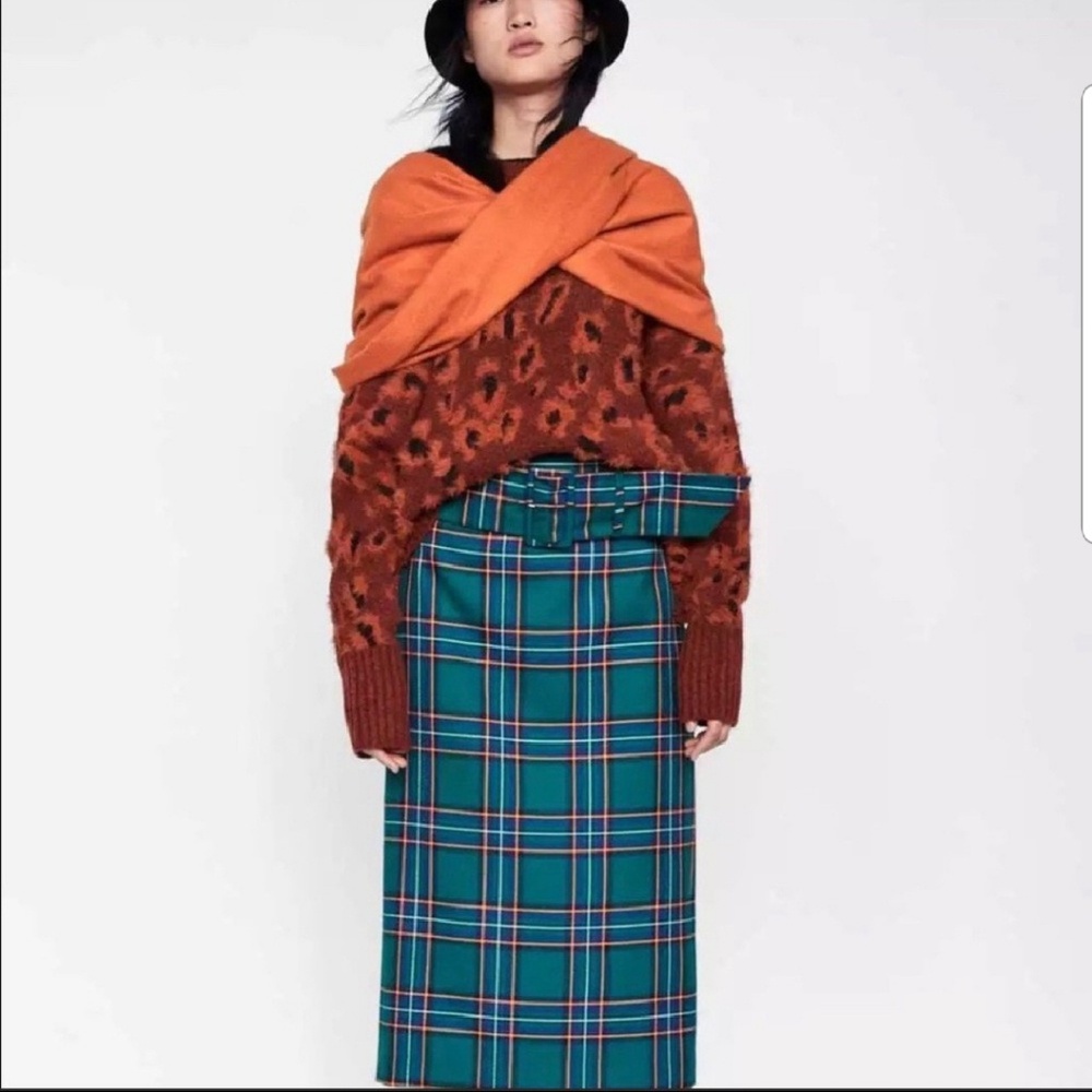 Zara Skirt